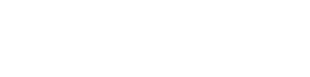 葱ɂ